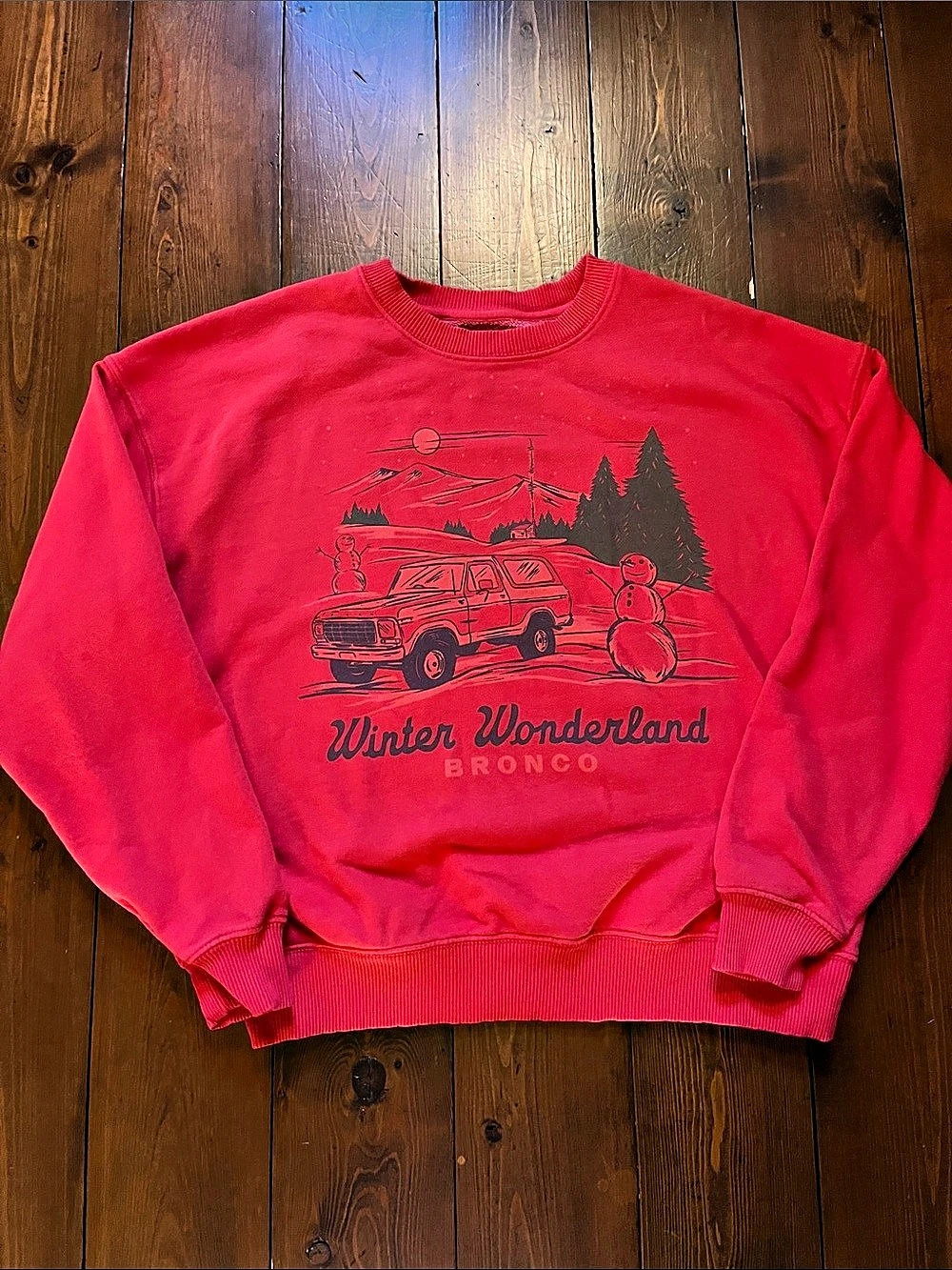 American Eagle Winter Wonderland Bronco Graphic Sweatshirt XS